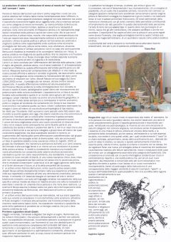 2024 bertuccioli mostra interno brochure 1 240